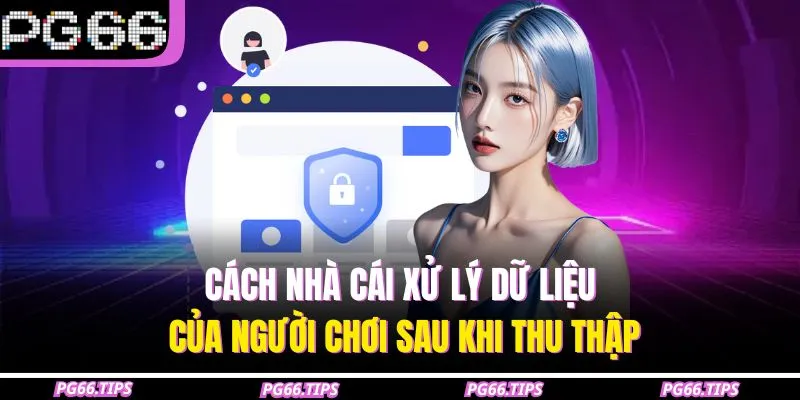 Cách nhà cái xử lý dữ liệu của người chơi sau khi thu thập
